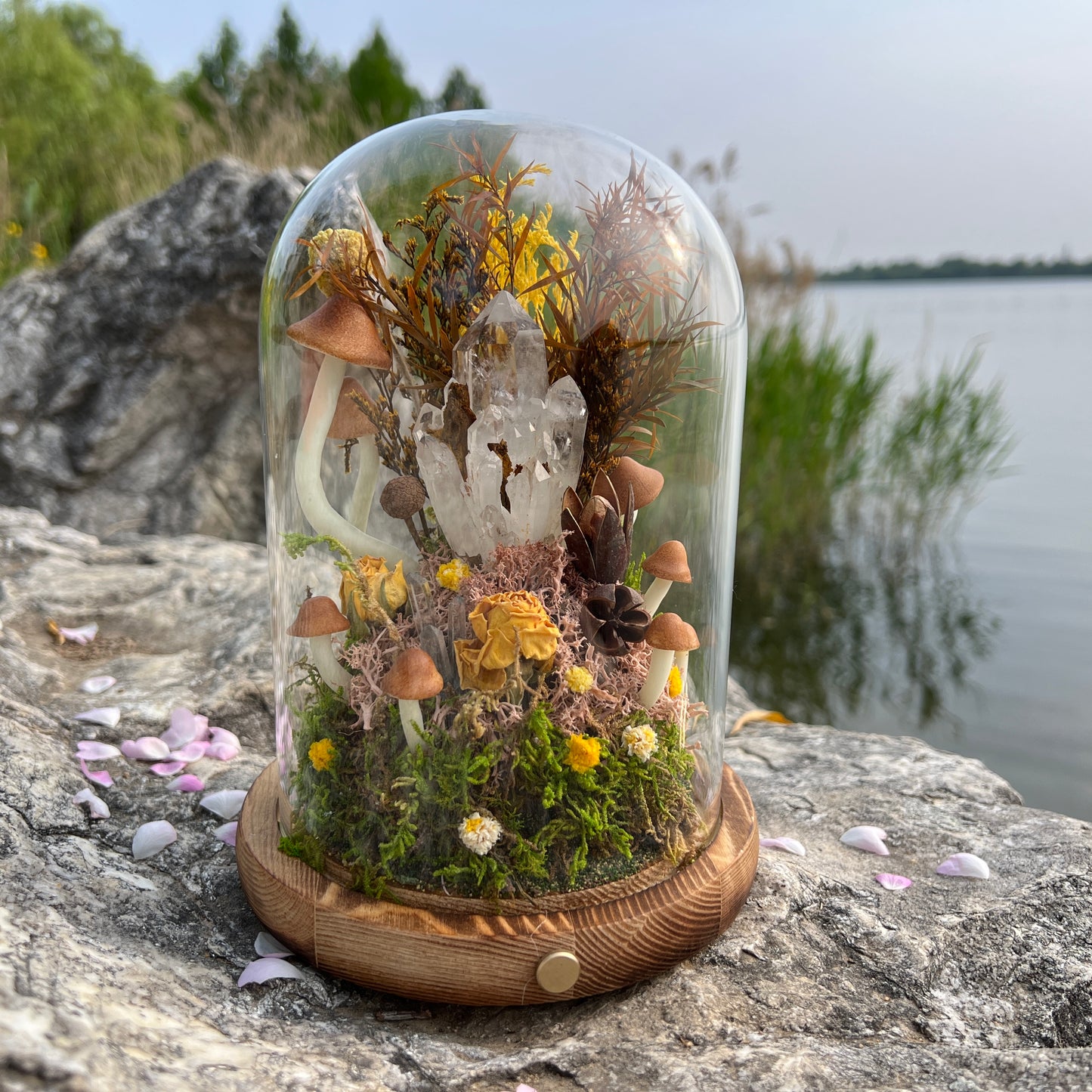 Raw Clear Quartz Cluster Night Light | Enchanted Forest Dome with Glowing Mushrooms