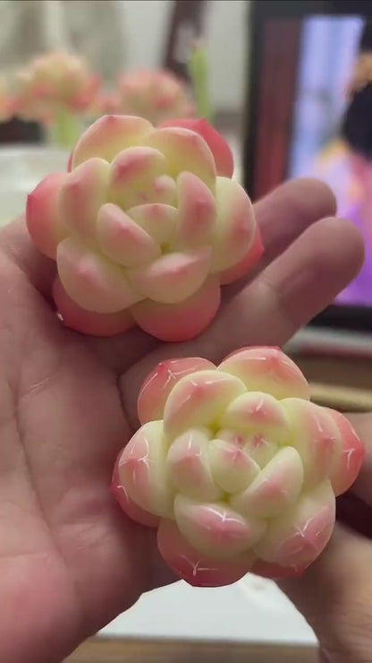Post-drying translucent air-dry polymer clay